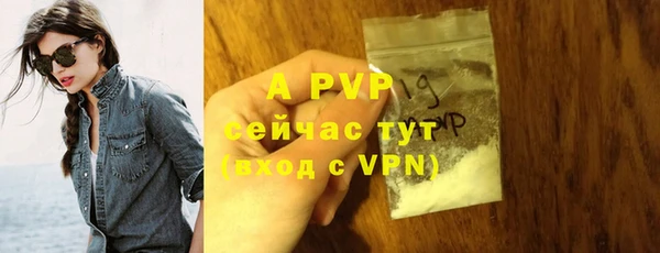 прущие крисы Пересвет