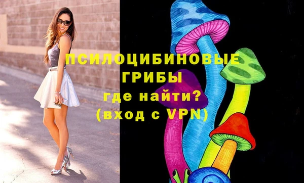 прущие крисы Пересвет
