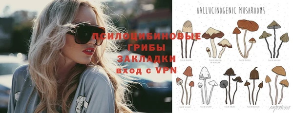 эйфоретик Переславль-Залесский