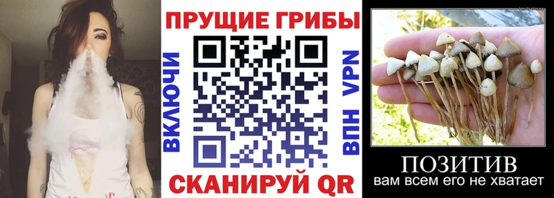 Псилоцибиновые грибы мухоморы  Купить закладки  Среднеколымск 